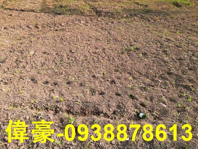 高雄工業地-0