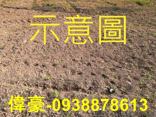 高雄路竹工業地-0