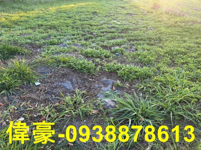 路竹工業地-0