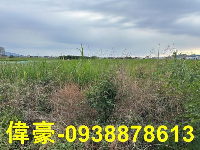 橋頭農地-0